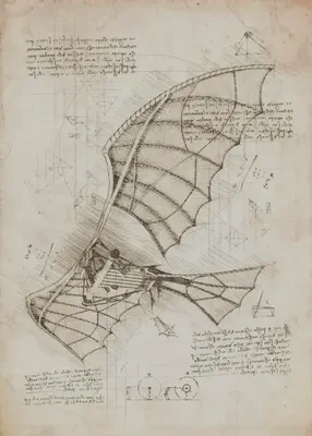 Leonardo’s flying machine: beautiful, intricate, and earthbound, because it assumed that to fly is to do what a bird does.