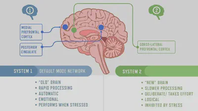 System 1 & 2