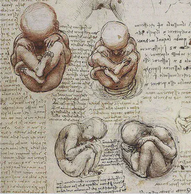 da vinci notebook.jpg