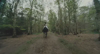 The forward motion really enhances how immersive everything feels