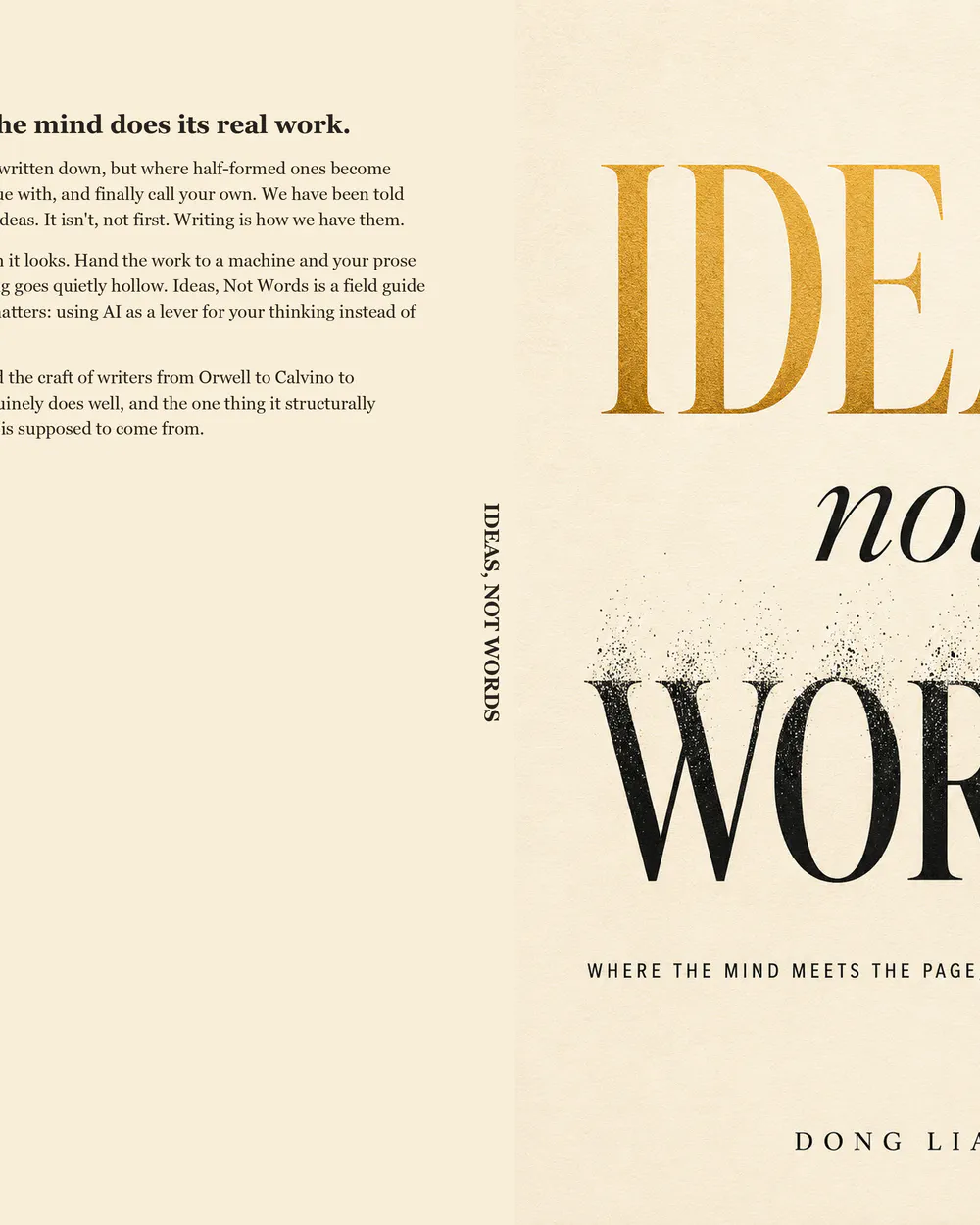 Ideas Not Words